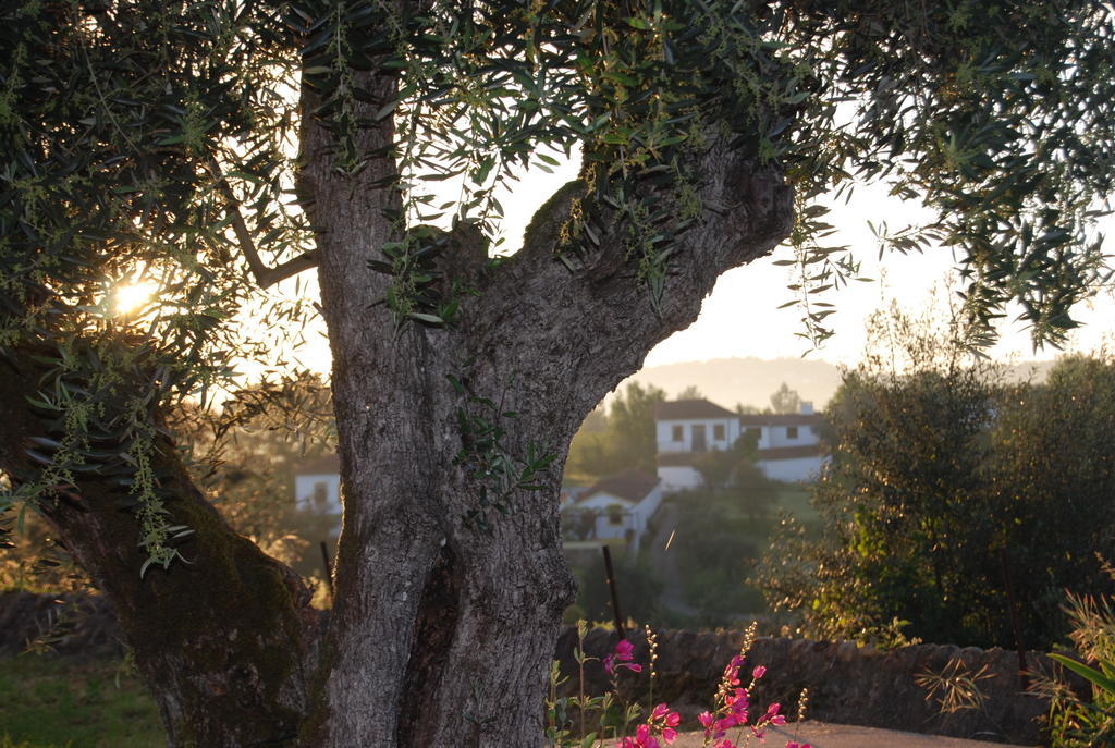 Latas Country House Hotel Penacova Buitenkant foto